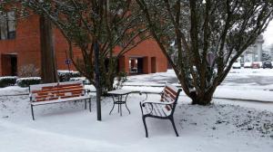 Ross Library Benches in Snow