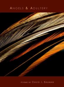 David J. Bauman, Angels & Adultery Cover