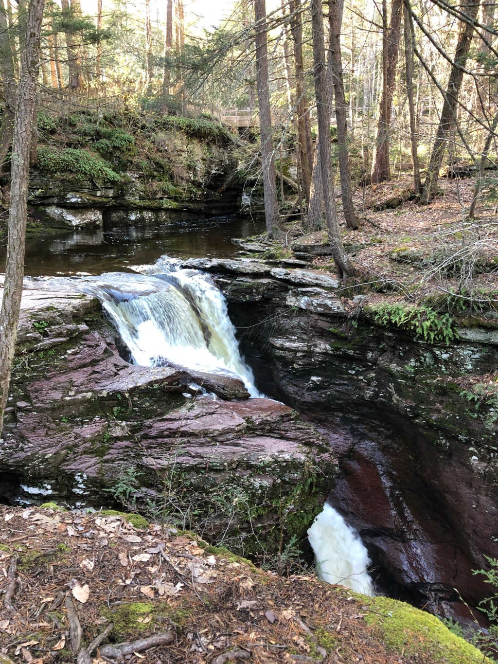 End of the Trail&nbsp;Café